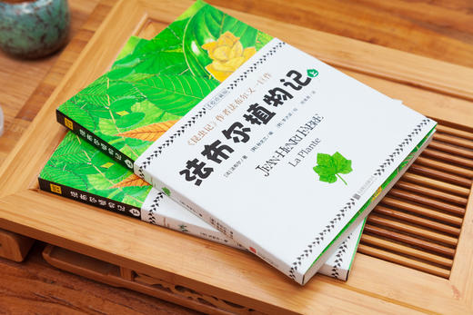 植物圣经《法布尔植物记》：手绘珍藏版（全2册）因《昆虫记》闻名于世的法布尔又一巨作！所有植物爱好者不可错过的“植物圣经” 商品图2