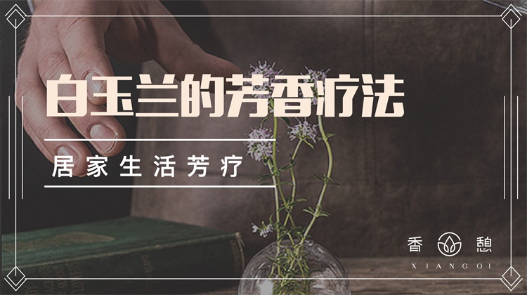 芳香小讲︱白玉兰的芳香疗法