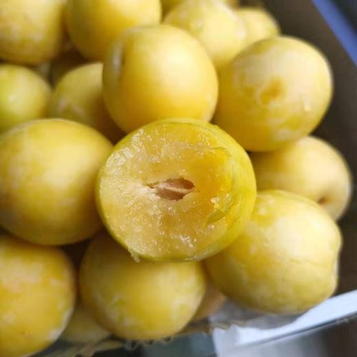 新鲜黄西梅有如杏李般细腻清甜口感润滑水分充足甜度较高69元斤