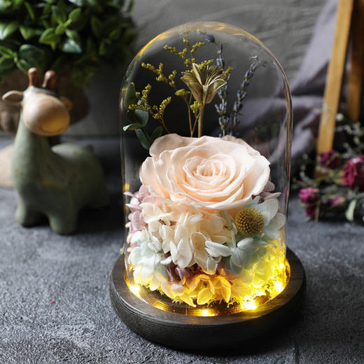 【春节不打烊 顺丰包邮】经典款 永生玫瑰花玻璃罩暖灯摆件 鲜花干花七夕情人节生日礼物创意礼品 商品图4