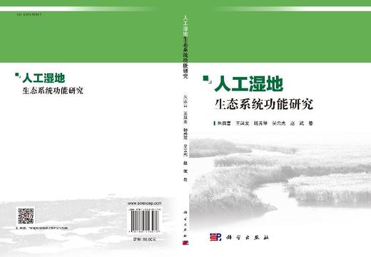 人工湿地生态系统功能研究 商品图3
