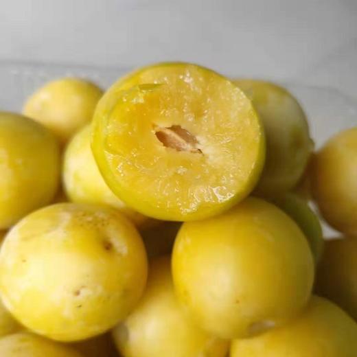 新鲜黄西梅有如杏李般细腻清甜口感润滑水分充足甜度较高69元斤