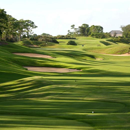 洛洛利高尔夫球场 Loblolly Golf Course | 佛罗里达州高尔夫球场 俱乐部| 美国高尔夫 | Florida Golf | FL 商品图0