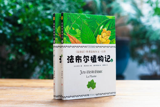 植物圣经《法布尔植物记》：手绘珍藏版（全2册）因《昆虫记》闻名于世的法布尔又一巨作！所有植物爱好者不可错过的“植物圣经” 商品图1