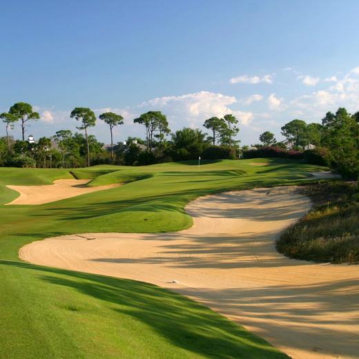 洛洛利高尔夫球场 Loblolly Golf Course | 佛罗里达州高尔夫球场 俱乐部| 美国高尔夫 | Florida Golf | FL 商品图1