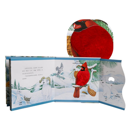 动物朋友翻翻触摸书系列（全4册） 0-3岁 原价：328/套 商品图2