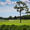 佛罗里达乡村俱乐部 Country Club of Florida | 佛罗里达州高尔夫球场 俱乐部| 美国高尔夫 | Florida Golf | FL 商品缩略图0