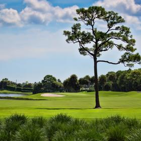 佛罗里达乡村俱乐部 Country Club of Florida | 佛罗里达州高尔夫球场 俱乐部| 美国高尔夫 | Florida Golf | FL