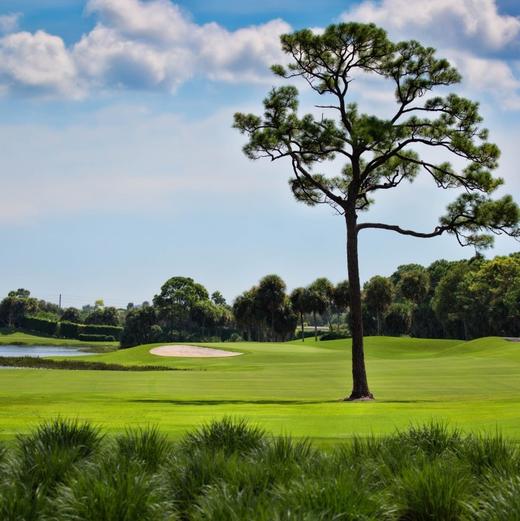 佛罗里达乡村俱乐部 Country Club of Florida | 佛罗里达州高尔夫球场 俱乐部| 美国高尔夫 | Florida Golf | FL 商品图0