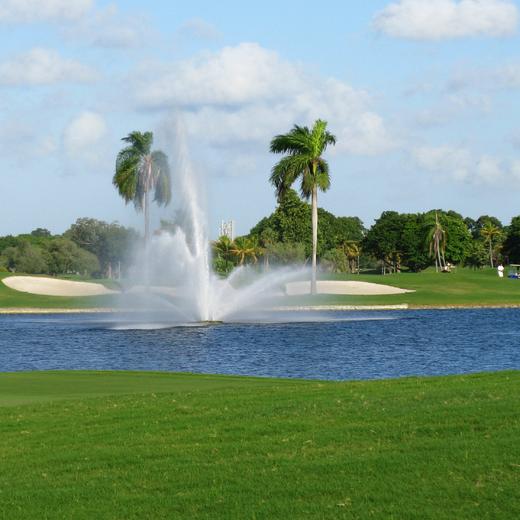 TRUMP国家多拉尔高尔夫俱乐部 Trump National Doral Golf Club | 佛罗里达州高尔夫球场 俱乐部| 美国高尔夫 | Florida Golf | FL 商品图3
