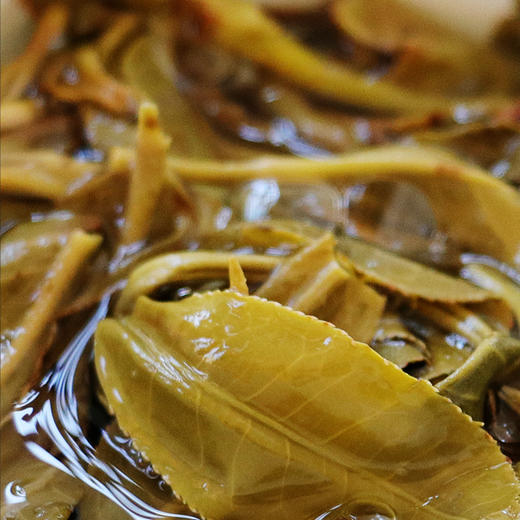 2019年曼松贡茶400g 皇家御贡 一泡难求 商品图3
