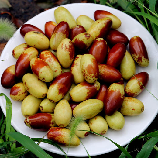 密云山区嘎嘣脆枣新鲜脆枣马牙枣子弹头500g