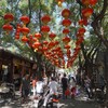 下午穿行老北京胡同，来一场说走就走的人文之旅（北京活动） 商品缩略图3