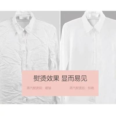 XH806-LD便携手持挂烫机TZW 商品图2