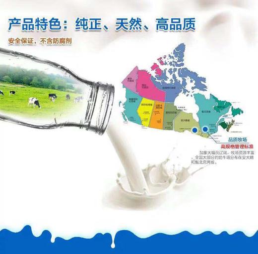 加拿大格兰特牛奶 蛋白质含量高 不给奶牛使用激素 无防腐 无添加 被誉为全球醉好的牛奶 原装原盒进口 真的需要抢|百里食 商品图12