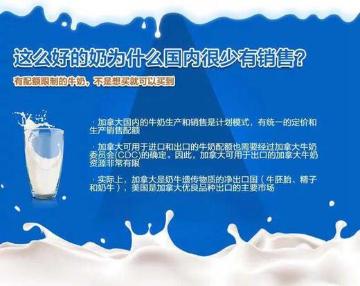 加拿大格兰特牛奶 蛋白质含量高 不给奶牛使用激素 无防腐 无添加 被誉为全球醉好的牛奶 原装原盒进口 真的需要抢|百里食 商品图13