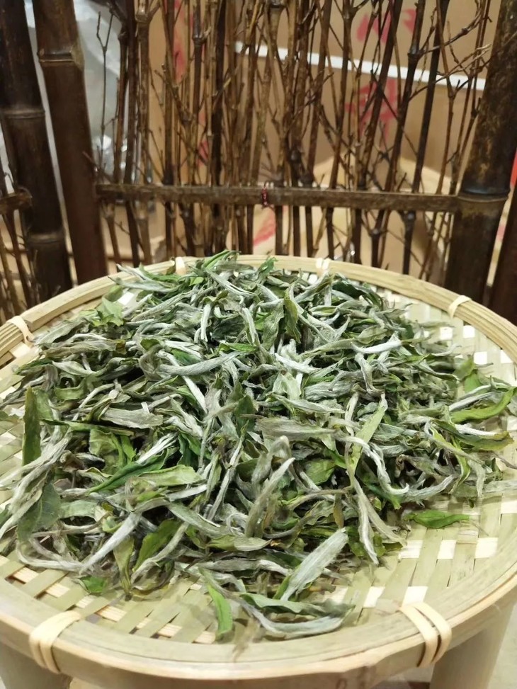 荒野牡丹王2019春茶福鼎白茶白牡丹太姥山高山特级新茶茶叶礼盒装
