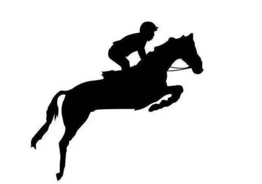 【教育实践活动·团体定制】御马苑~皇家小骑士养成记！感受骑马的乐趣！（8组家庭成团） 商品图7