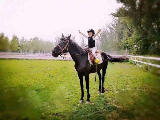 【教育实践活动·团体定制】御马苑~皇家小骑士养成记！感受骑马的乐趣！（8组家庭成团） 商品图9