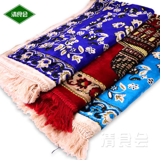 巴基斯坦进口精品涤纶毯子  四种颜色随机发货 商品图0