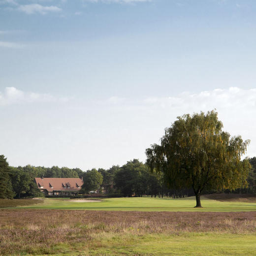 皇家林伯格高尔夫俱乐部 Royal Limburg Golf Club | 欧洲 比利时高尔夫球场 商品图6