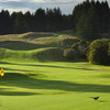 怀拉基自然保护区高尔夫球场Wairakei Golf + Sanctuary | 新西兰高尔夫球场 | 新西兰北岛 商品缩略图3