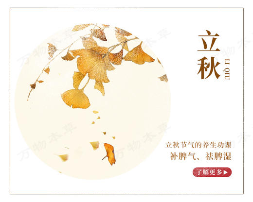 立秋顺时打卡 商品图0