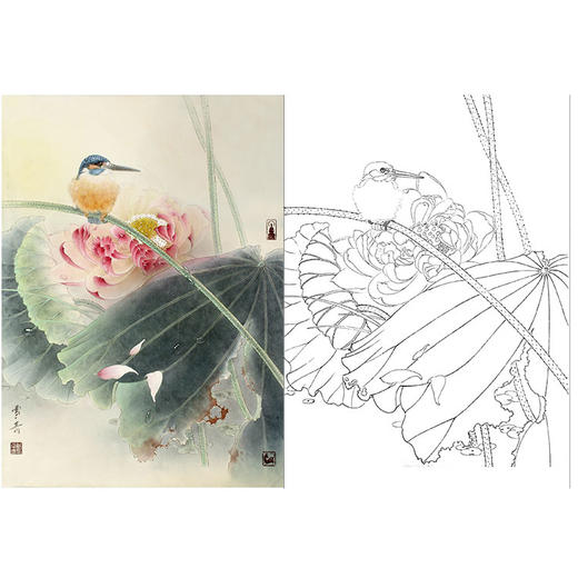 龚雪青竖幅工笔花鸟白描底稿翠鸟荷花多种白描尺寸可选xq49