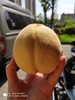 【黄桃】弥漫着浓郁的桃香~ 轻咬一口，汁水丰盈，鲜香脆爽！ 商品缩略图4