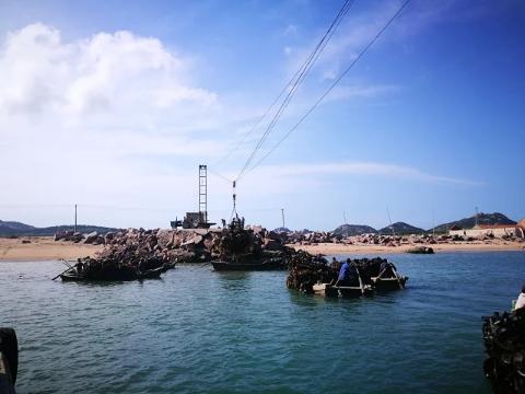 合作产品/ 生态深水海带  包邮 （每周一，三，周五发货） 商品图5