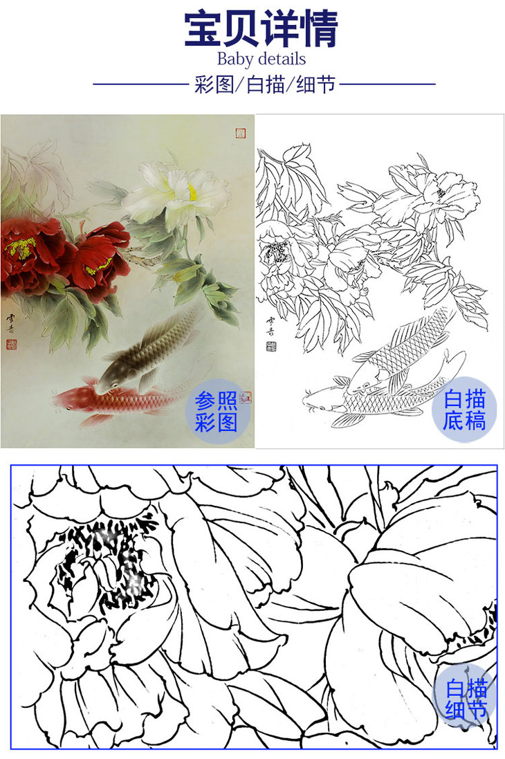 龚雪青工笔花鸟白描底稿牡丹鲤鱼斗方小品册页多种白描尺寸可选xq52