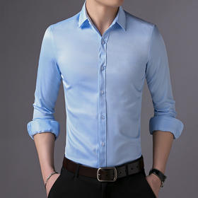 SY-DZ006新款春秋正装男士长袖刺绣商务时尚职业衬衫TZW