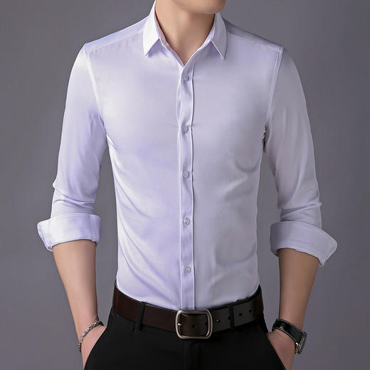 SY-DZ006新款春秋正装男士长袖刺绣商务时尚职业衬衫TZW 商品图4