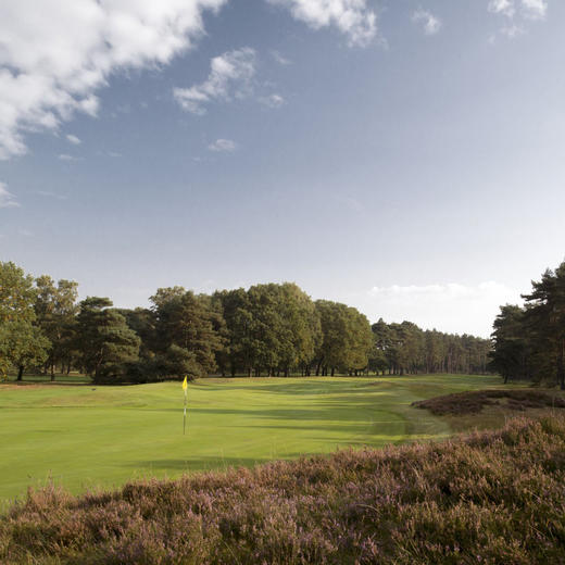 皇家林伯格高尔夫俱乐部 Royal Limburg Golf Club | 欧洲 比利时高尔夫球场 商品图5