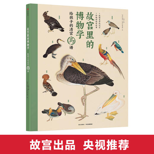故宫里的博物学 给孩子的清宫鸟谱 小海 著  中小学生历史、语文、科学知识大全 中国版的神奇动物在哪里 商品图0