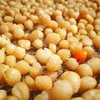 生态干贝丁 | 合作生产 * Eco-Dry scallops | Coprodution 商品缩略图3