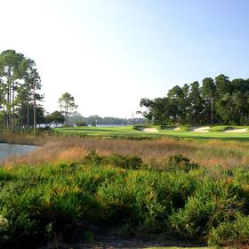 鲨鱼牙高尔夫俱乐部 Shark’s Tooth Golf Club | 佛罗里达州高尔夫球场 俱乐部 | Florida Golf | FL | 美国高尔夫
