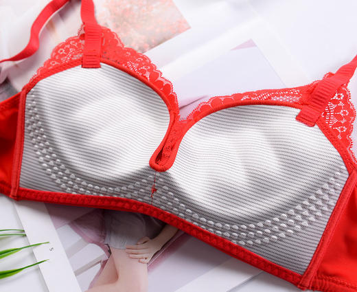 舒适性感蕾丝花边内衣小胸聚拢收副乳无钢圈三排扣文胸TZW 商品图4