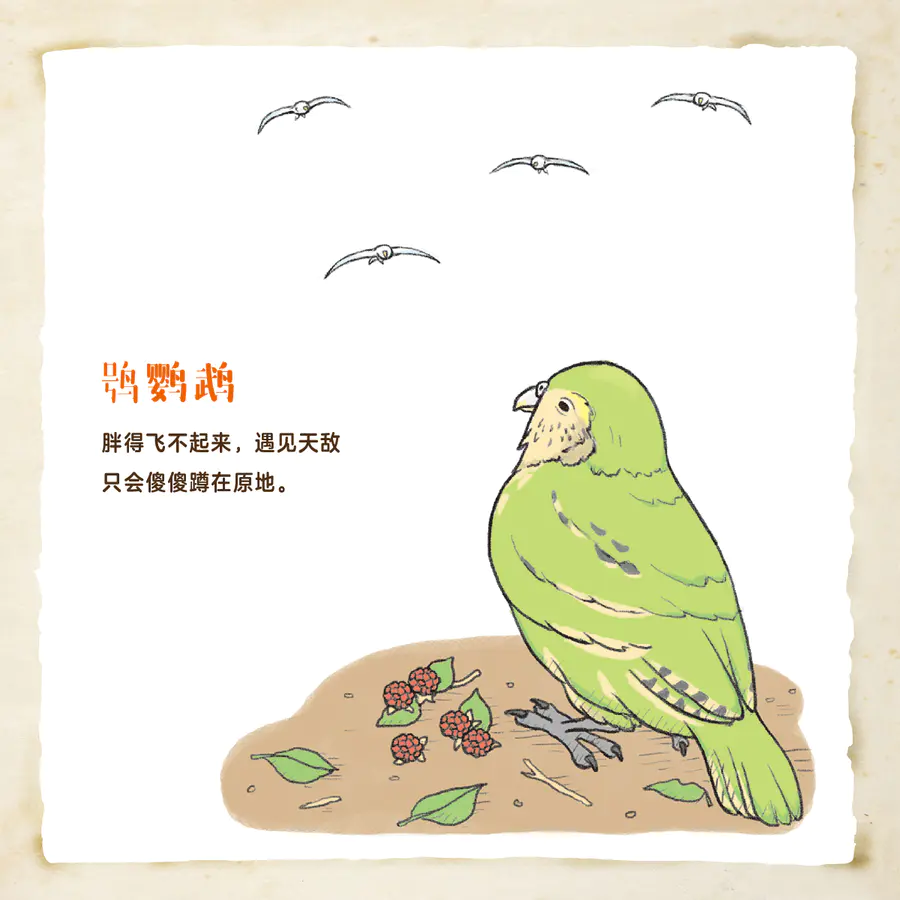 遗憾的进化 别笑 这是真实的生物世界 系列狂销360万册 席卷日本各大图书排行榜 今泉忠明编