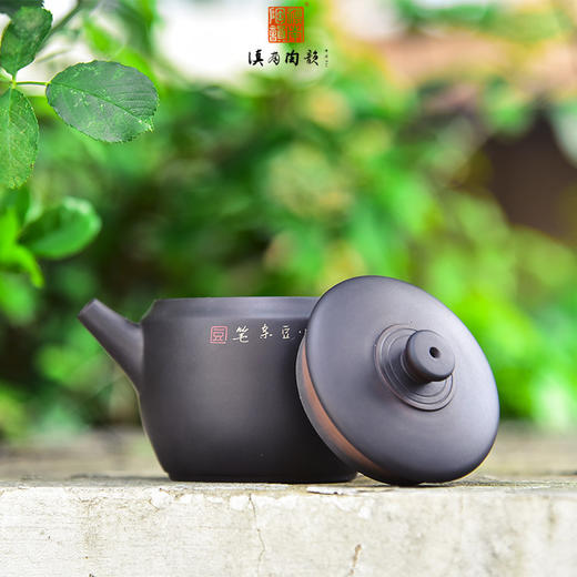 豆进贵  壶 商品图1