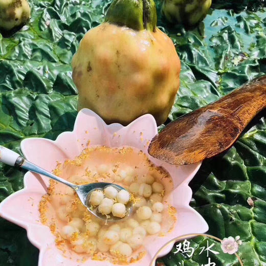 苏州鸡头米，一份苏州独有的味道，来一碗香糯可口的鸡头米Q弹爽口，软糯适中，温热软糯的口感才是这个季节该有的味道！250g/包 商品图0