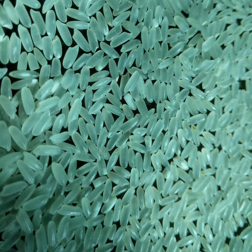 五常 有机酵素大米10斤装米砖 红绿包装无区别哦！ 商品图8