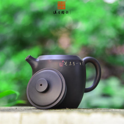 豆进贵  壶 商品图1