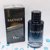 DIOR迪奥旷野男士 淡香水100ml/60ml（250146）（250153） 商品缩略图0