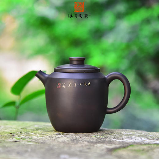 豆进贵  壶 商品图1