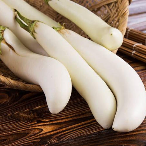 白茄子广州银林农场不发省外