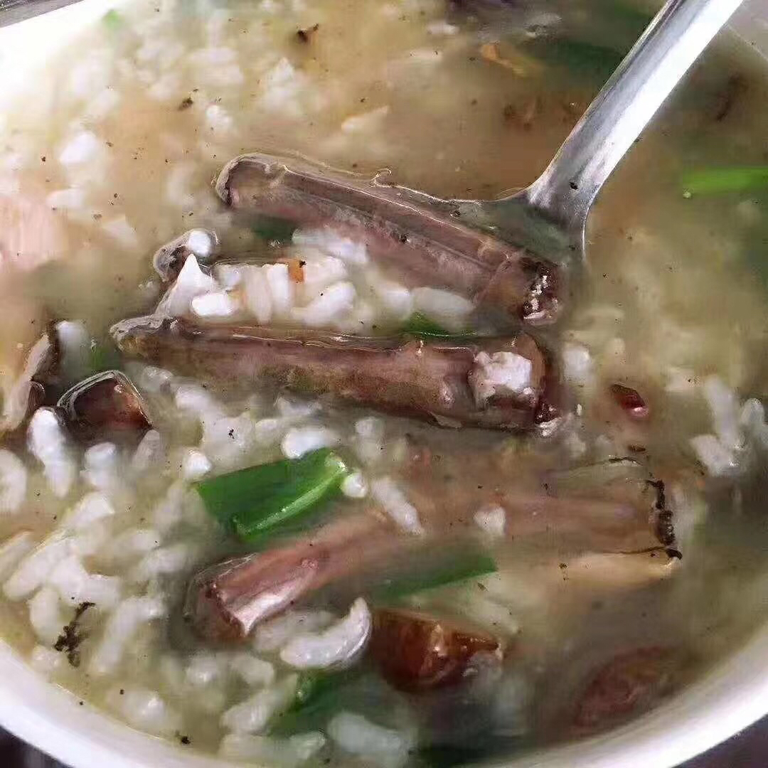 海鲜精选东山海鲜61野生活鲜血鳗顺丰冷链肉质肥美细嫩软糯且富胶质