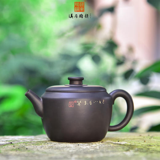 豆进贵  壶 商品图1