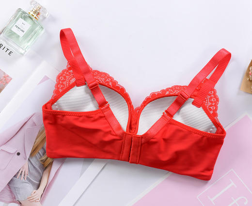 舒适性感蕾丝花边内衣小胸聚拢收副乳无钢圈三排扣文胸TZW 商品图3