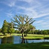 奥兰多乡村俱乐部 The Country Club of Orlando | 佛罗里达州高尔夫球场 俱乐部 | Florida Golf | FL | 美国高尔夫 商品缩略图1